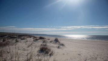 Playa en los alrededores