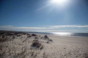 Playa en los alrededores 