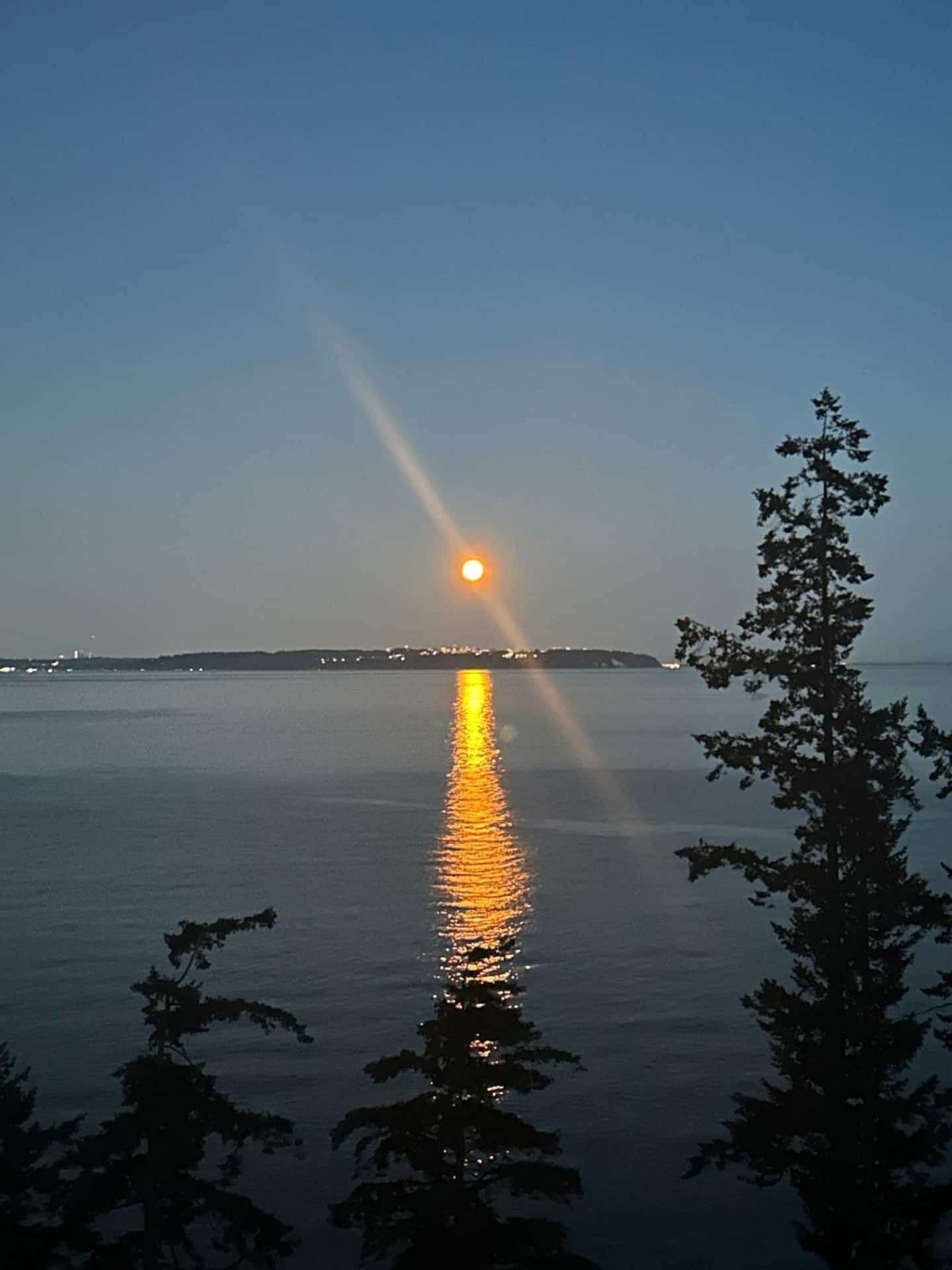 view from deck.