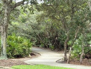 Property grounds - Lush tropical Cherokee by the sea (Palm Coast)