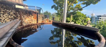 Modern chalet apartment with alpine view | near Lucerne&Zug | playground + hotpot