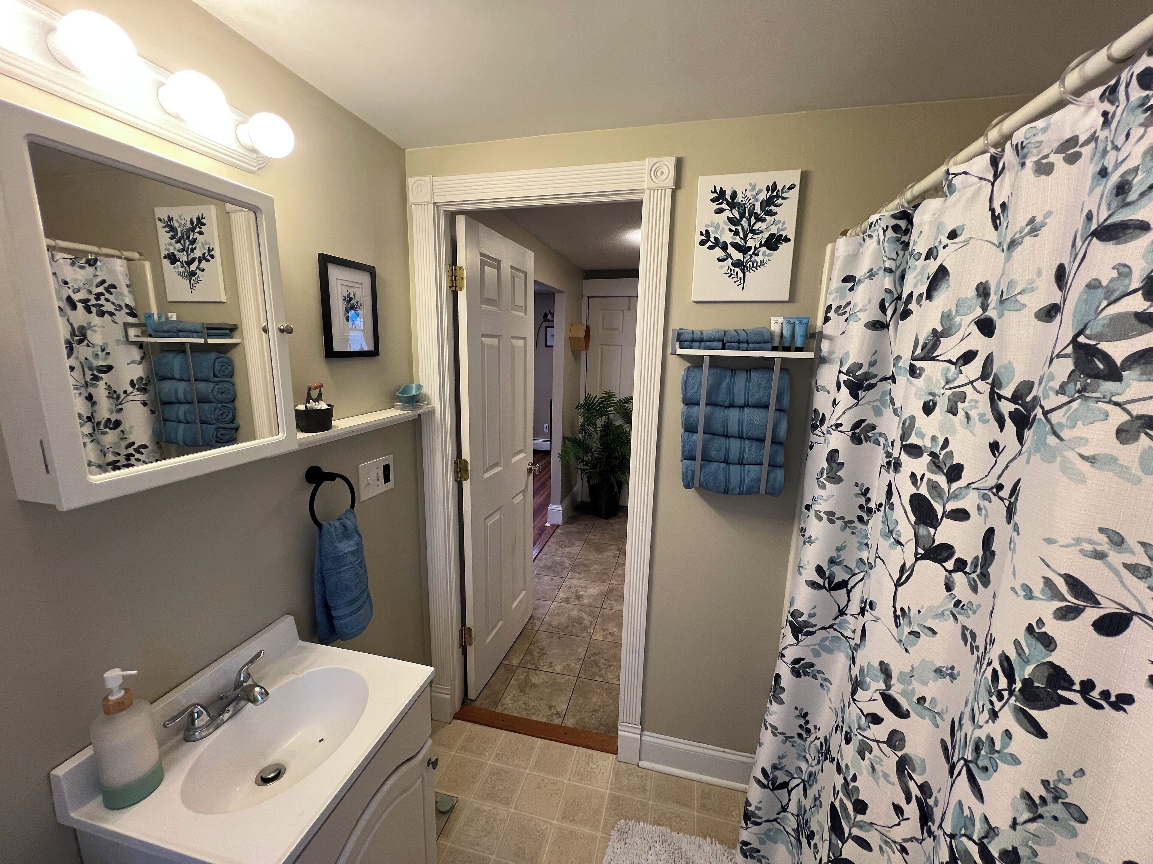 Hair dryer, towels, soap, shampoo