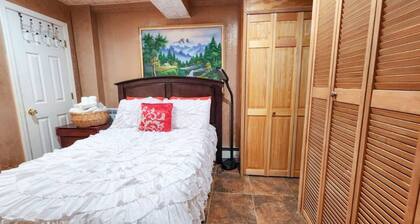 Spacious Cozy Studio 5-Min Walk to LIRR