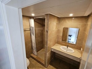 Shower, hair dryer, bidet, towels