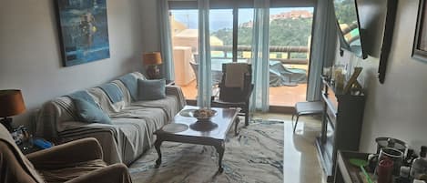 Smart TV, fireplace, books