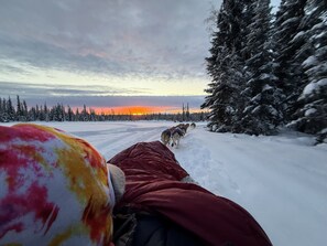 Un paysage enneigé où l’on aperçoit une équipe de chiens de traîneau en mouvement, une personne vêtue de rouge et une forêt d’arbres recouverts de neige.