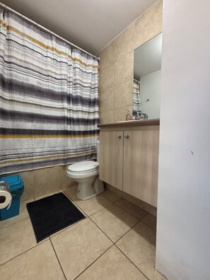 Towels, soap, shampoo, toilet paper - Explore the center 2D2B+Kitchen+Parking (Concepción)