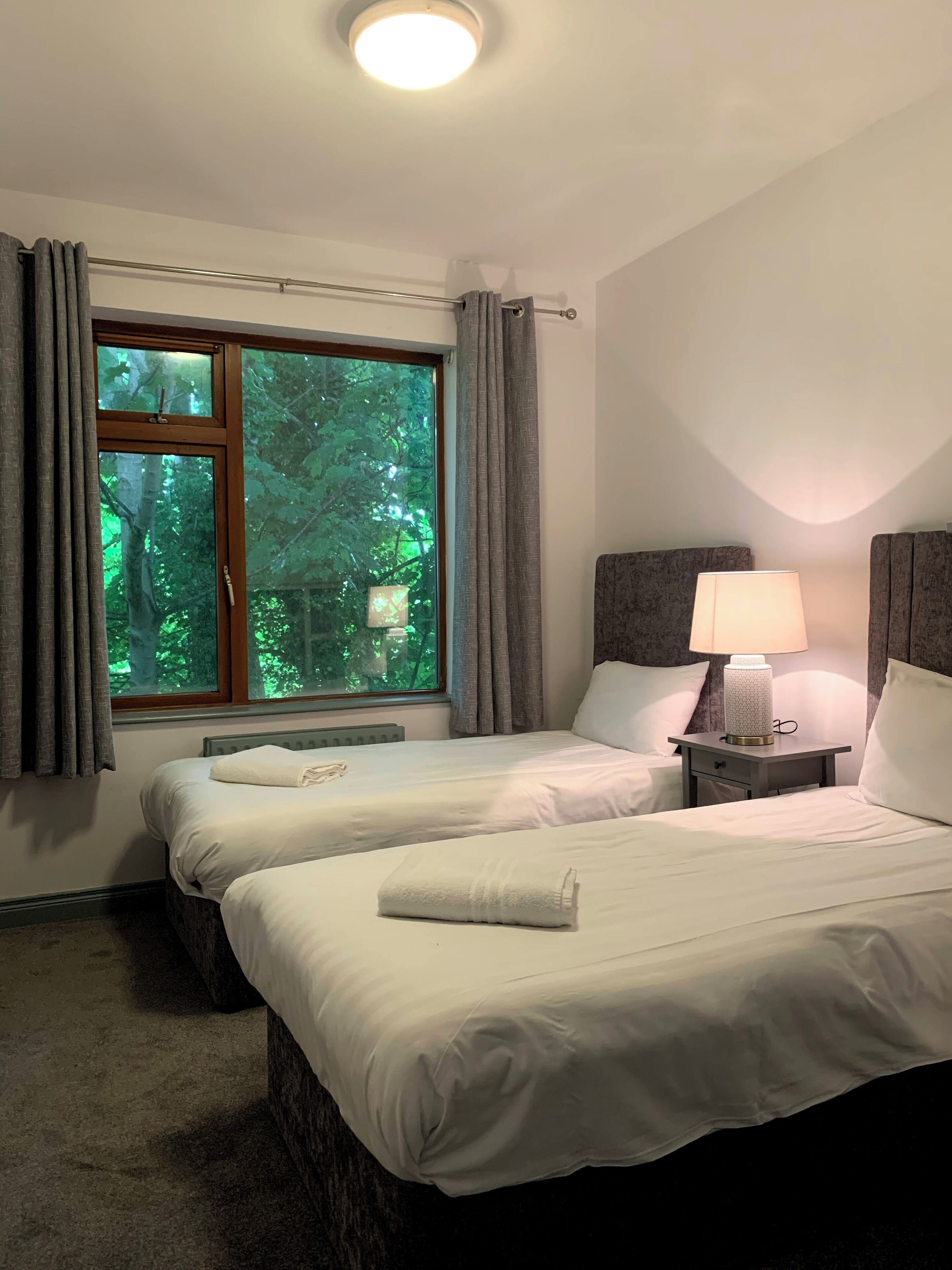 A hotel room with two beds, a nightstand with a lamp, a window with curtains, and a view of trees.