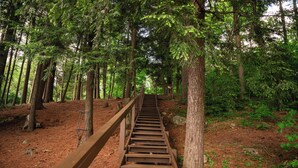 A wooden staircase in a forest with trees on both sides. - Private Adirondack Compound! (Saint Regis Falls)
