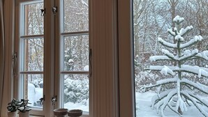 A window with a view of a snow-covered landscape and a tree. - Spacious holiday home near beach and nature (Jægerspris)