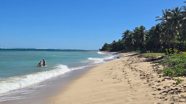 Una playa con agua azul cristalina, arena dorada y palmeras.
