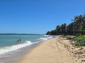 A beach with clear blue water, a sandy shore, and palm trees. - Waterfront: Quiet studio, secure parking (Le Moule)