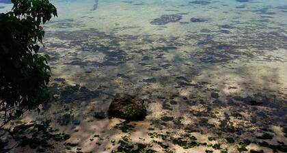 Island Comfort & Safety – Cozy 2 Bedroom Suite