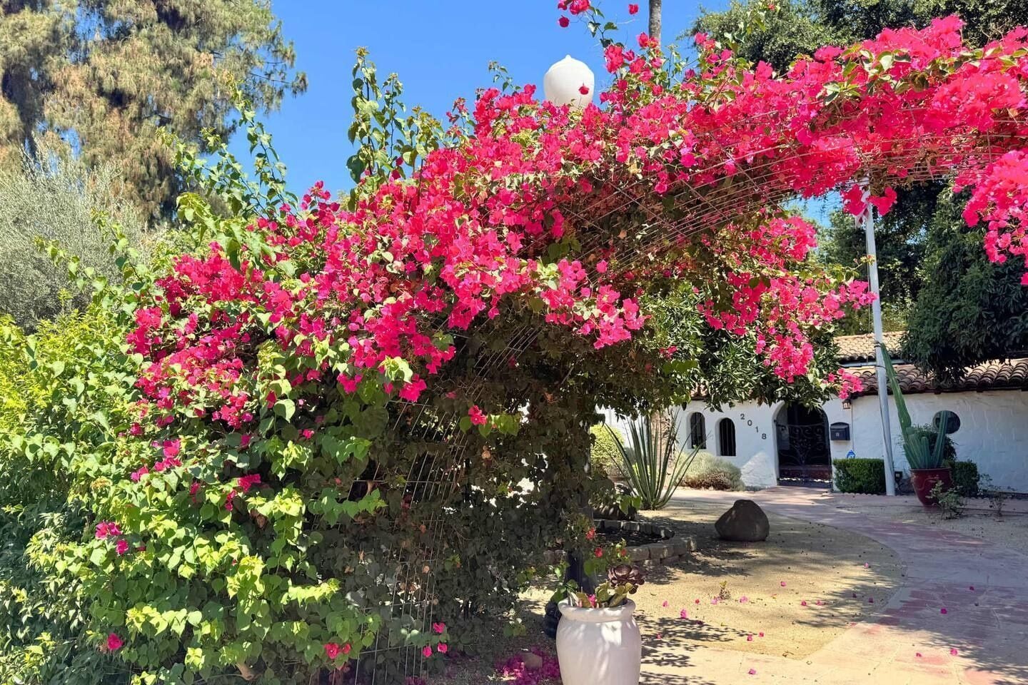 Enceinte de l’hébergement