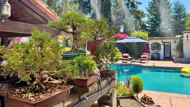 Zona de piscina con vista a una montaña, rodeada de plantas en macetas y un edificio con tejado rojo.