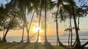 Playa en los alrededores, camastros y toallas de playa