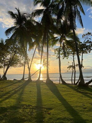Plage à proximité, chaise longue, serviettes de plage