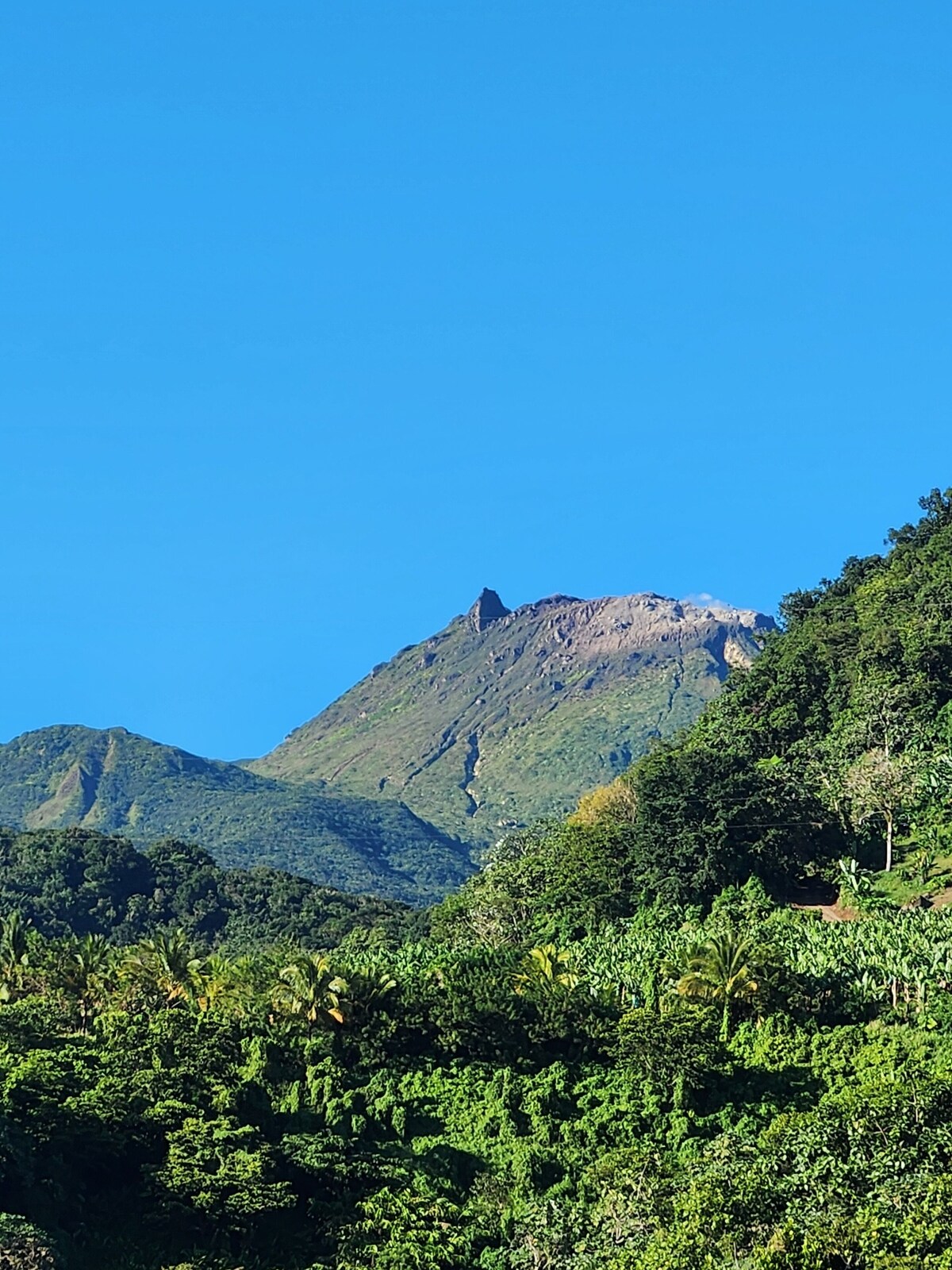 Imagen de perfil del propietario o de la propietaria