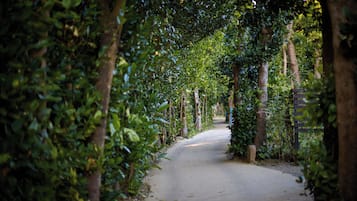 Blick auf die Umgebung