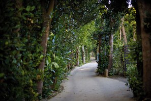 Land view from property - Adan Resort  NAGOMI (Motobu)