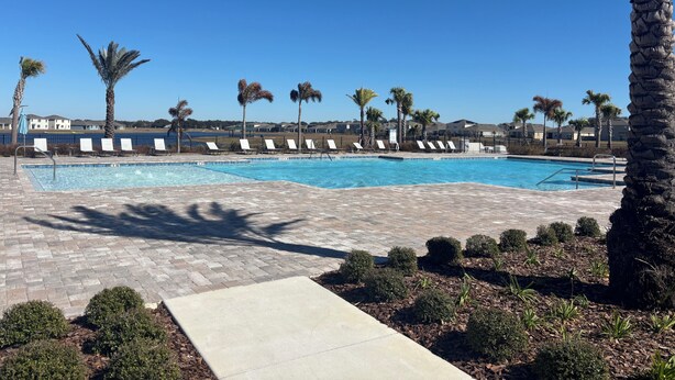 Une piscine avec des chaises longues, des palmiers et un ciel bleu azur.