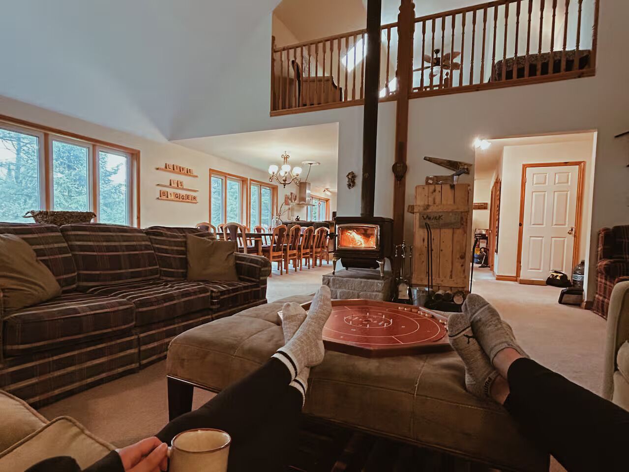 電視、壁爐、DVD 播放機、書籍