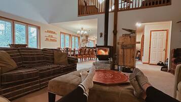 Televisión, chimenea, reproductor de DVD y libros