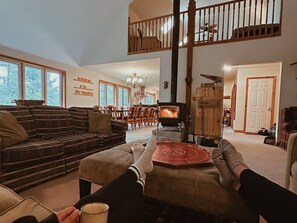 Televisión, chimenea, reproductor de DVD y libros 