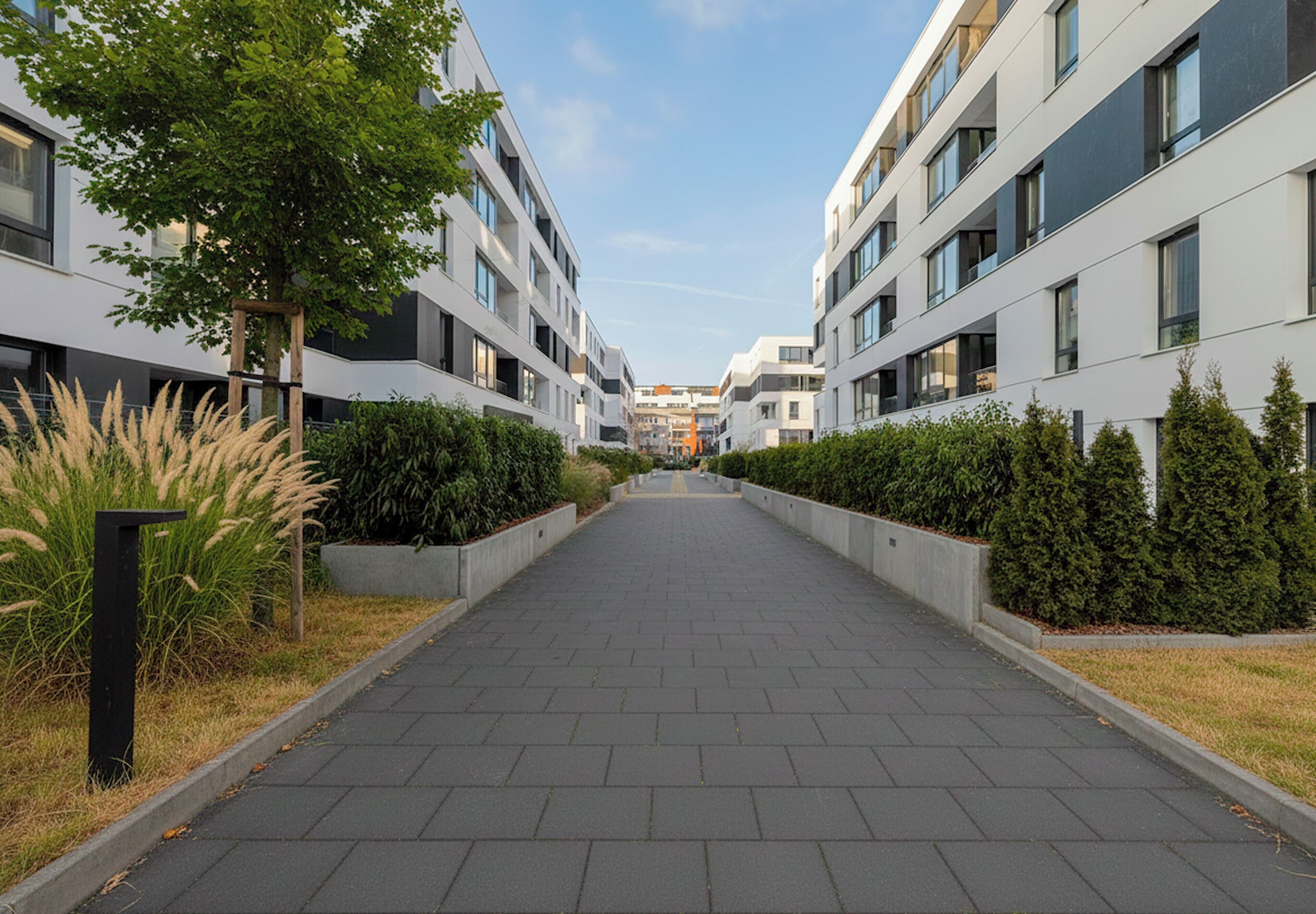 Un ensemble d’immeubles d’appartements modernes, avec une allée centrale bordée de verdure et de bâtiments.