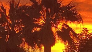 A sunset with palm trees silhouetted against a vibrant sky. - Quiet 1-bedroom studio with AC in La Quinta.Walk to CoachellaFest/Stagecoach. (La Quinta)