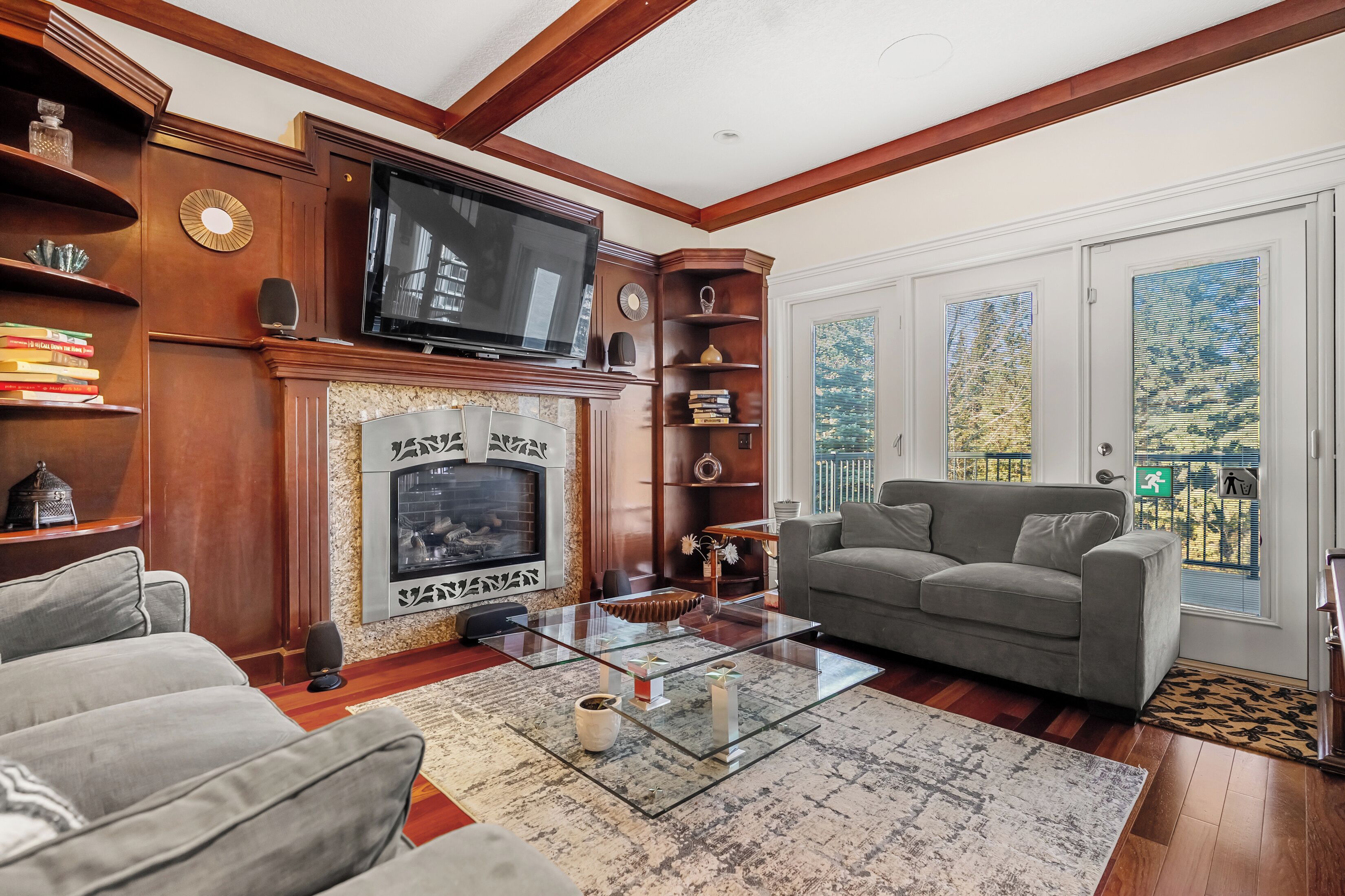 Télévision, cheminée, livres