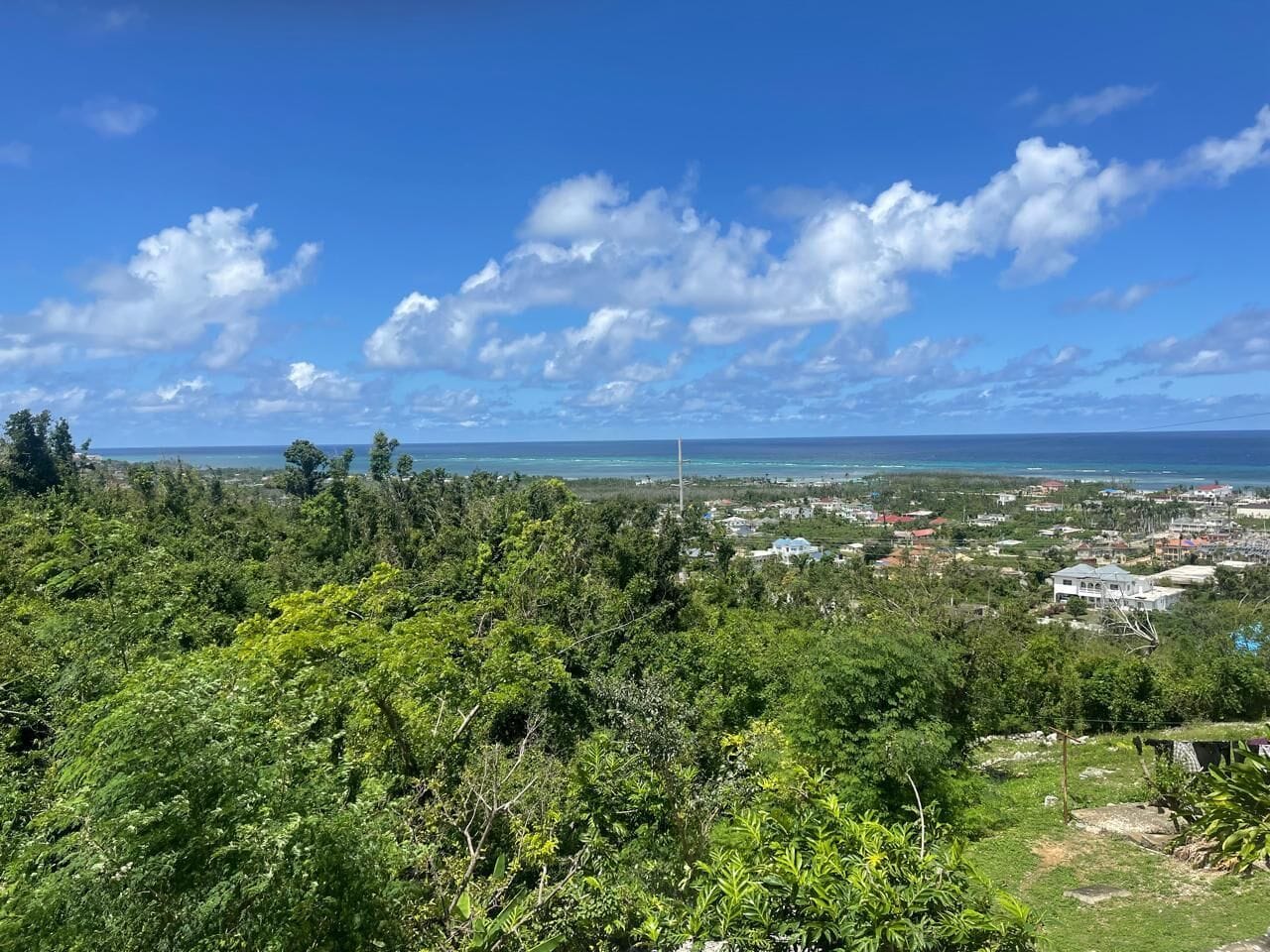 A coastal town with dense greenery, a clear sky, and a view of the ocean.