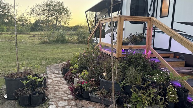 A garden pathway leading to a wooden deck with a white RV in the background. - The Premier Cuero Tx RV ,No Cleaning Fee,King Bed, Sectional Couch (Cuero)
