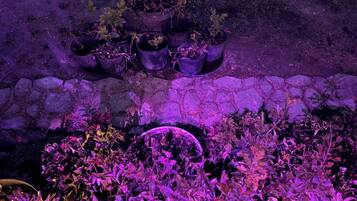 Ein Garten mit verschiedenen Blumentöpfen und einem gepflasterten Weg.