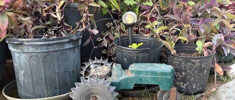 Potted plants, a wheelbarrow, and gardening tools on a gravel surface.