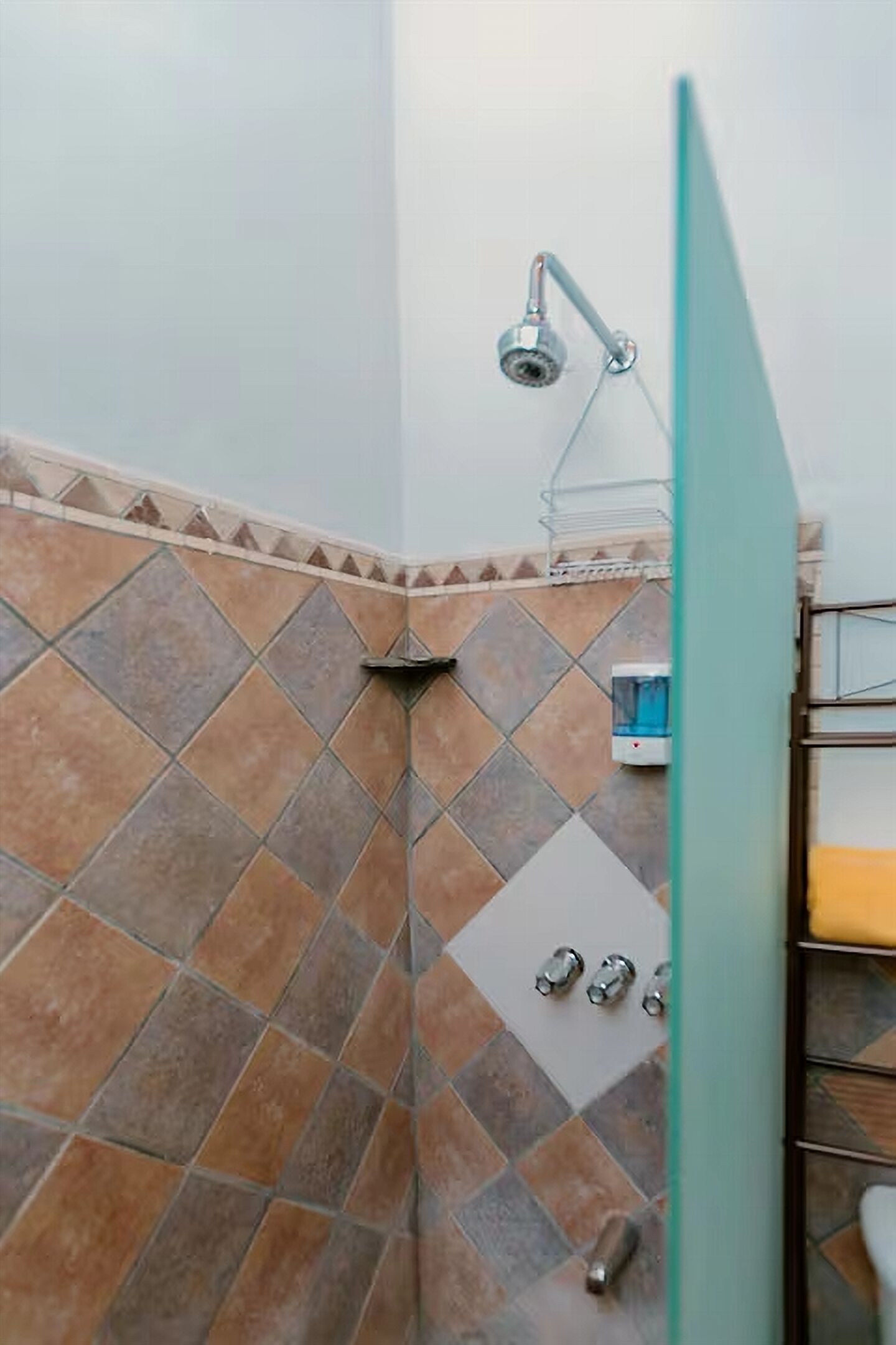 Een douche, handdoeken, zeep, toiletpapier