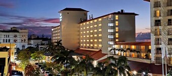 Tropical 2 BR Suite – Steps to Micro Beach, Memorial Park, and Dining