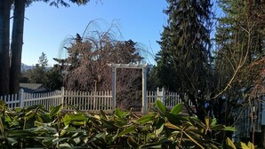 Ein Garten mit weißem Zaun, einer Pergola und verschiedenen Bäumen.