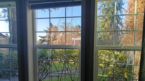 Ein Zimmer mit einem großen Fenster, das in mehrere Felder unterteilt ist und einen Blick auf einen Garten mit Bäumen und Sträuchern bietet.