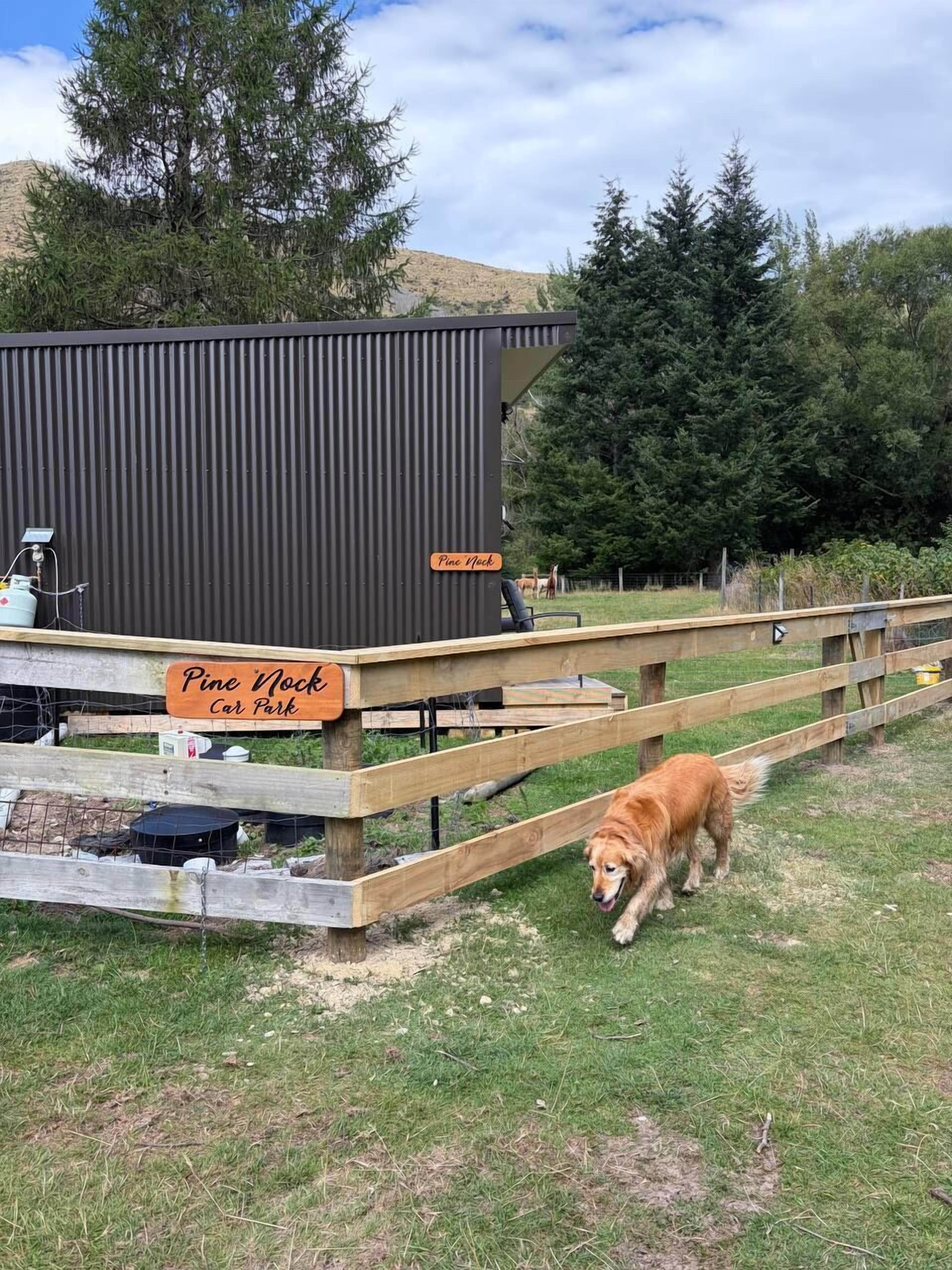 Enceinte de l’hébergement