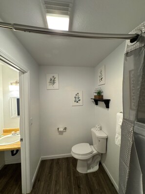 Une petite salle de bain comprenant des toilettes, une petite étagère avec une plante et deux tableaux accrochés au mur.
