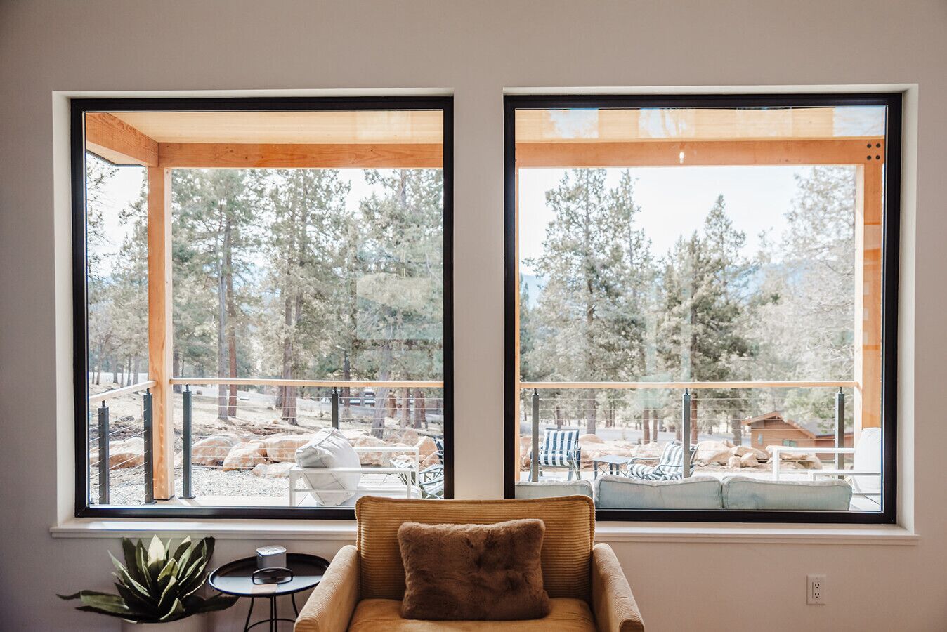 電視、壁爐、書籍