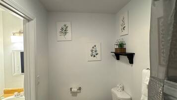 A compact bathroom with a toilet, a small shelf with a plant, and two wall-mounted pictures.