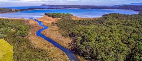 A river winding through a densely forested landscape with a clear view of distant hills and a large body of water.