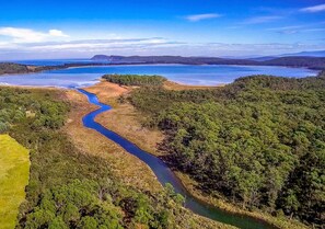 Une rivière serpente à travers un paysage densément boisé, offrant une vue dégagée sur des collines lointaines et un vaste plan d’eau.