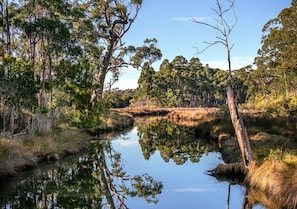 Une rivière paisible où se reflètent les arbres et un ciel dégagé.