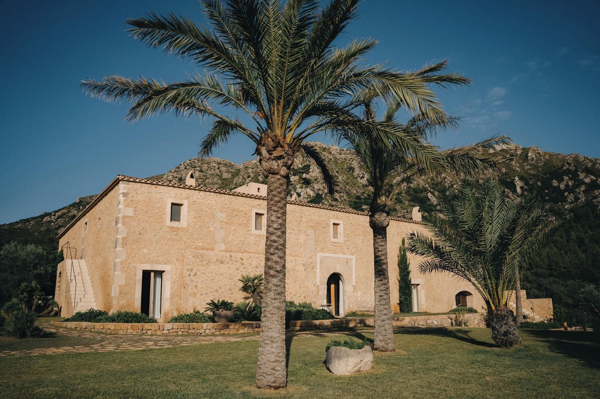 Un edifici amb façana de pedra, diverses finestres i una palmera al primer terme.
