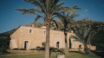 Un edifici amb façana de pedra, diverses finestres i una palmera al primer terme.