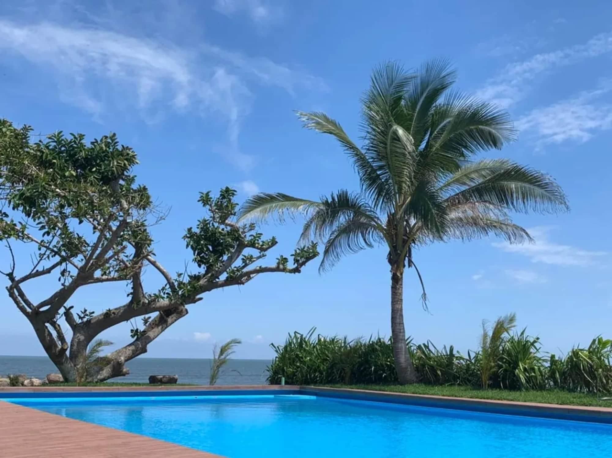 Una piscina con vista al océano, rodeada de palmeras y vegetación tropical.