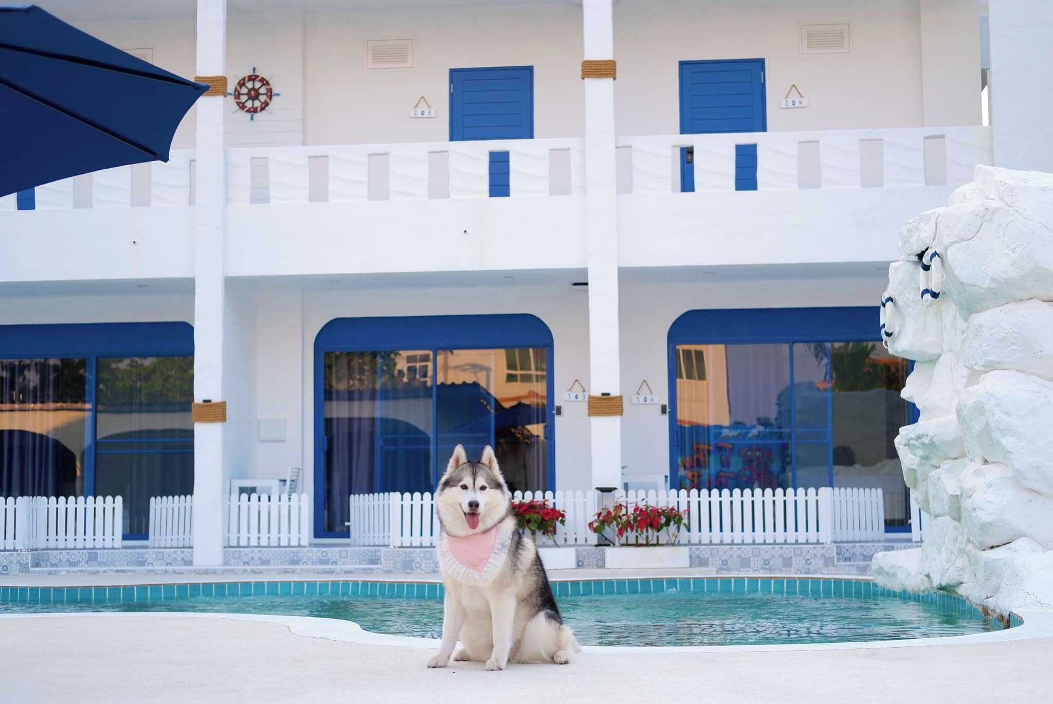 Vista desde la propiedad